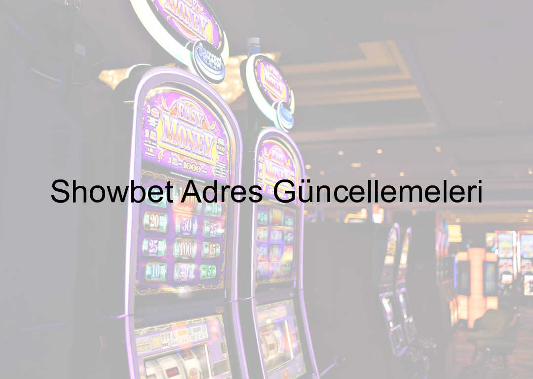 Showbet Adres